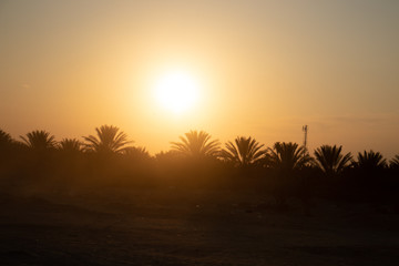 Fototapeta na wymiar Sahara Desert Tunisia Sunset Camila