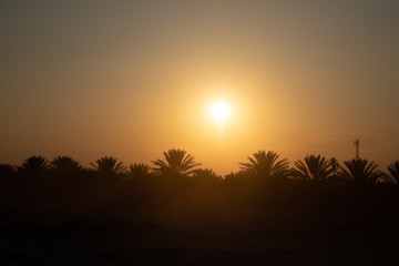 Sahara Desert Tunisia Sunset Camila