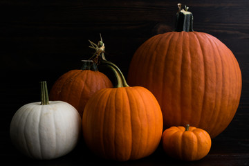 Rustic Grouping of Whole Pumpkins