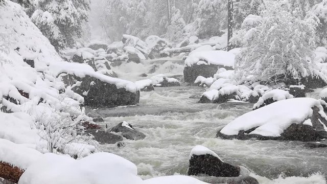 A snowy winter landscape in Yosemite National Park