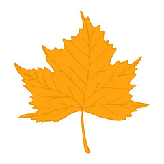 leaf autumn yellow in the style of doodle