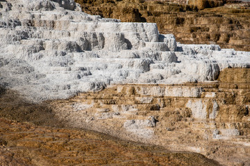 Minerva Terraces with its travertine deposits