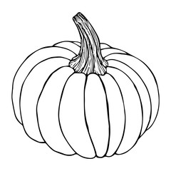Pumpkin sketch black line isolated on white background