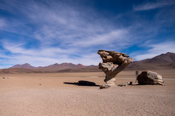 Fototapeta na wymiar árbol de piedra en el Salar de Bolivia, formación rocosa