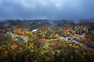 Fototapeta na wymiar Valley of colorful trees covered fog at early mourning. Rainy weather with storm clouds in the sky. Picturesque panorama with river Gauja curving through the valley. 