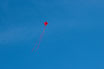 Red kite flying against a clear blue sky