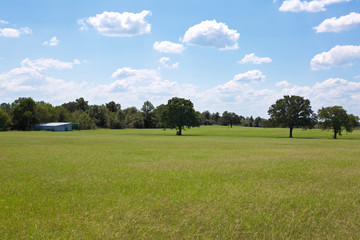 Pasture with a few trees and a barn in the distance with billowy clouds and blue sky