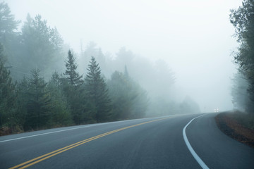 Car Driving Through Thick Fog in Early Morning in Algonquin Park