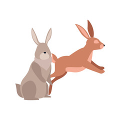 cartoon rabbits icon, flat design