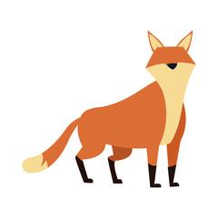 cartoon fox icon, colorful flat design