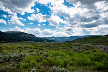 Lamar valley in Yellowstone National Park