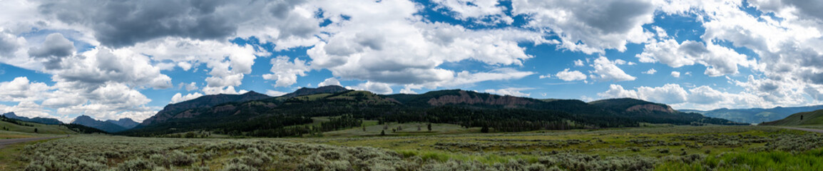 Lamar valley in Yellowstone National Park