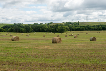 Fototapeta na wymiar hay bales in the field