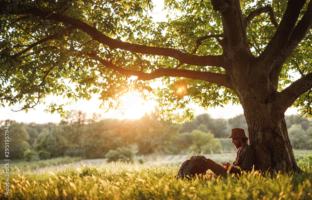 Wall mural Hiker using smartphone under tree