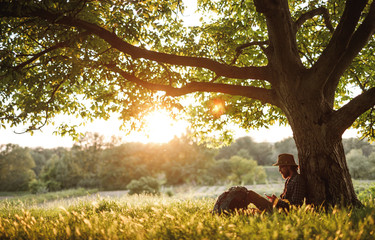 Hiker using smartphone under tree