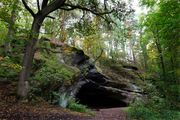 Forest autumn Nature about Creek in northern Bohemia, Lusatian Mountains, Czech Republic