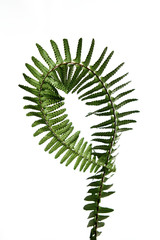 Natural element