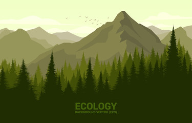 Vector scenery of green forest and big mountain. background concept for natural and spring time.