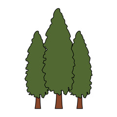 trees icon image