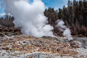 Geothermal feature at Norris geyser basin area at Yellowstone National Park (USA)