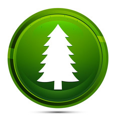 Evergreen conifer pine tree icon glassy green round button illustration