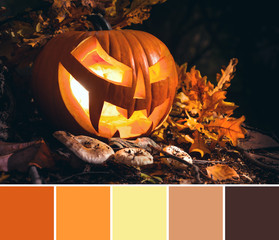 Color matching Autumn palette in brown, orange and yellow from image of Jack o'Lantern, Halloween pumpkin