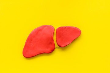 Obraz premium Liver studying and working. Organ on yellow background top view