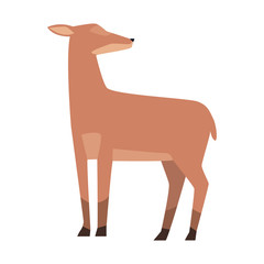 cartoon deer icon, flat colorful design