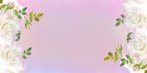 background with roses flowers