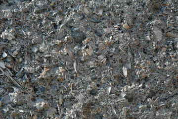 Surface of concrete with sawdust 4