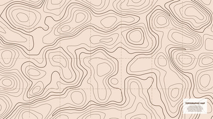 Topographic world map. Vector for your design