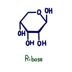 Ribose is a carbohydrate with the formula C5H10O5; specifically, it is a pentose monosaccharide (simple sugar) with linear form H−(C=O)−(CHOH)4−H, which has all the hydroxyl groups on the same side.