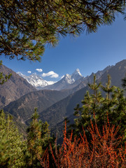 Ama Dablam and Mount Everest in the distance through trees in foreground