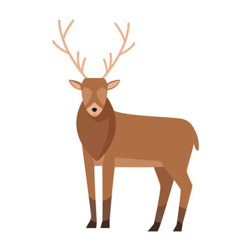 horned deer icon, colorful flat design