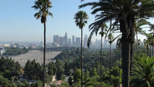 Los Angeles Downtown Skyline And Palm Trees In Elysian Park Aerial Establish Shot Right