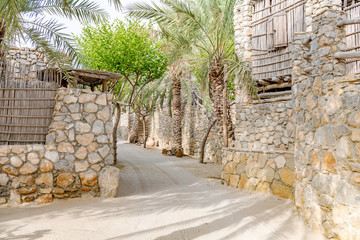 Omani Oasis at Zighy Bay in Musandam, Oman.