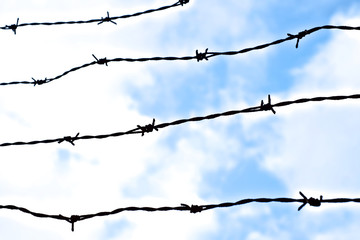 Idea of freedom: barbed wire and sky with clouds.