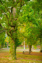 Fototapeta na wymiar Ballade au parc en automne, vue sur le banc