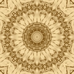 Golden rose background and floral gold design, graphic.