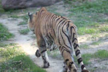 Yapmış olduğumuz bir gezi sırasında hayvanlar alemini yakından görme fırsatını yakaladık