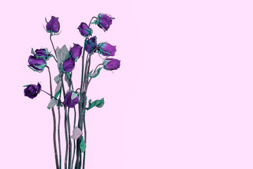 rose wither , failing in love