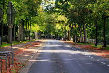 road in park