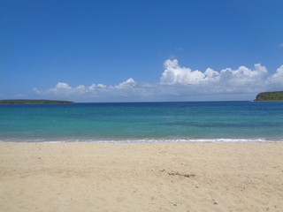 Playa solitaria en Vieques, Puerto Rico
