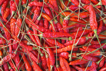 Red hot dried chilli nature texture background