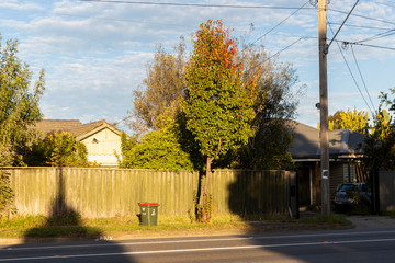 Suburban side street with council wheelie bin waiting to be collected.