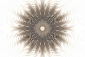 Obraz premium brown flower pattern floral kaleidoscope. indian ornament.