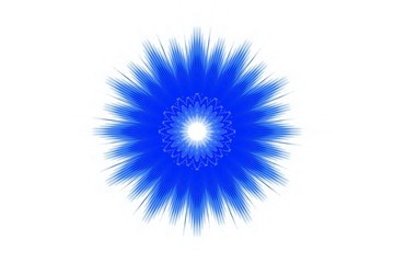 blue flower pattern floral kaleidoscope. mandala ornament.