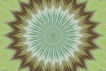 Fototapeta premium green flower spring pattern floral. geometric.