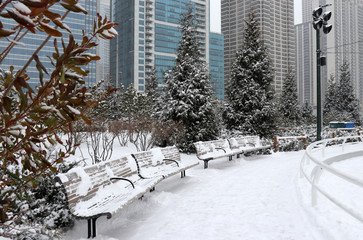 Christmas in Chicago. Modern architecture and cityscape background. Beautiful winter day in Chicago downtown. Scenic view in a city park with skyscrapers in at the background. Illinois, Midwest USA. 