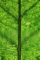 Obraz premium background liquid abstract graphic design. colorful dynamic.